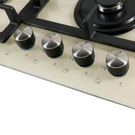 Встраиваемая варочная панель Oasis P-BDI