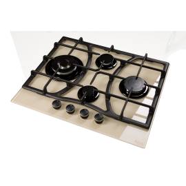 Встраиваемая варочная панель Oasis P-GITT