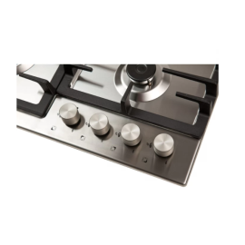 Встраиваемая варочная панель Oasis P-MNRP