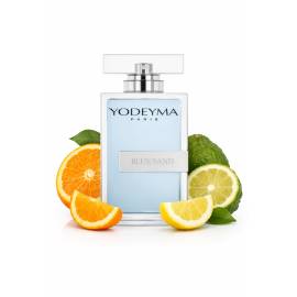 Yodeyma Blue Sand - Erba Pura от Xerjoff, Объем: 100