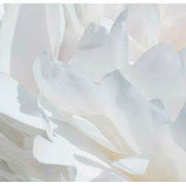 Yodeyma VÁLIA - Parfums de Marly Valaya, Объем: 100, изображение 4