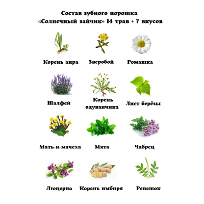 Зубной порошок Солнечный зайчик "14 ТРАВ" на 3,5 месяца Фабрика трав, 20 г, изображение 6 от магазина Брами Маркет Зубной порошок Солнечный зайчик "14 ТРАВ" на 3,5 месяца Фабрика трав, 20 г, изображение 6