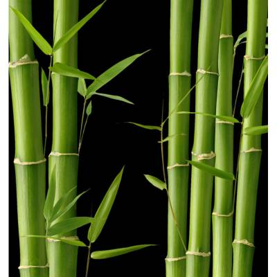 Парфюмерная вода Yodeyma "KARA", 15 мл - аналог Dolce & Gabbana "LIGHT BLUE", Объем: 15, изображение 5