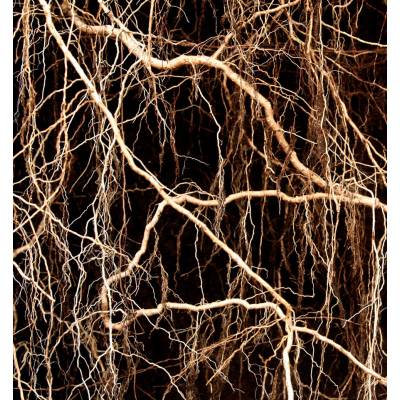 Парфюмерная вода Yodeyma "METAL SPORT", 15 мл - аналог Chanel "ALLURE HOMME SPORT", Объем: 15, изображение 6 от магазина Брами Маркет Парфюмерная вода Yodeyma "METAL SPORT", 15 мл - аналог Chanel "ALLURE HOMME SPORT", Объем: 15, изображение 6