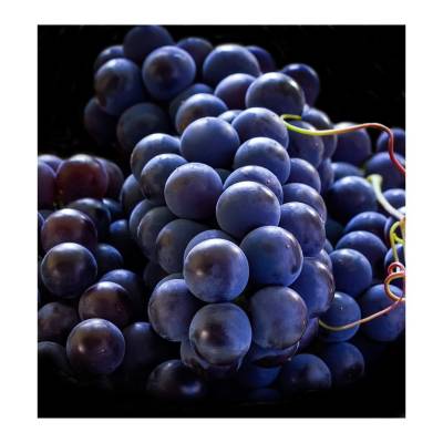 Парфюмерная вода Yodeyma "SEXY ROSE", 15 мл - аналог Carolina Herrera "212 VIP ROSE", Объем: 15, изображение 3