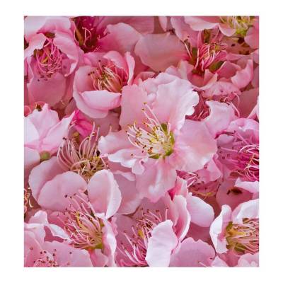 Парфюмерная вода Yodeyma "SEXY ROSE", 15 мл - аналог Carolina Herrera "212 VIP ROSE", Объем: 15, изображение 4