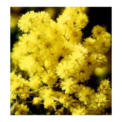 Парфюмерная вода Yodeyma "CANDY", 15 мл - аналог Clinique "HAPPY", Объем: 15, изображение 4