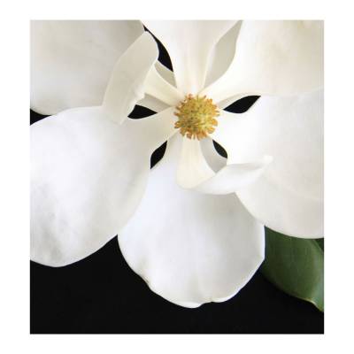 Парфюмерная вода Yodeyma "CANDY", 15 мл - аналог Clinique "HAPPY", Объем: 15, изображение 5