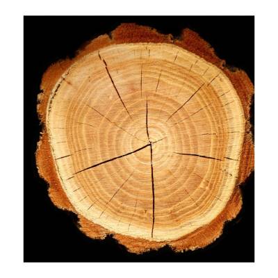 Парфюмерная вода Yodeyma "DELA", 15 мл - аналог Cacharel "NOA", Объем: 15, изображение 5