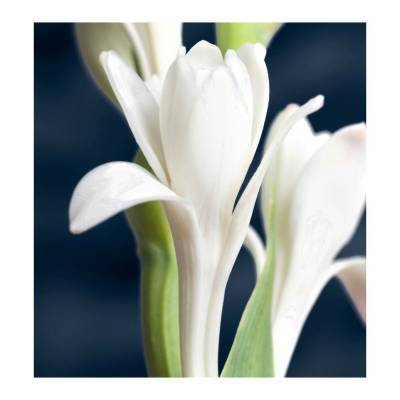 Парфюмерная вода Yodeyma "NERO", 100 мл - аналог Bvlgari "MAN IN BLACK", Объем: 100, изображение 5