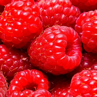 Парфюмерная вода Yodeyma "POWER WOMAN", 100 мл - аналог Paco Rabanne "LADY MILLION", Объем: 100, изображение 4