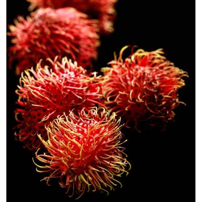 Парфюмерная вода Yodeyma "SOPHISTICATE", 15 мл - аналог Dolce & Gabbana "THE ONE", Объем: 15, изображение 4