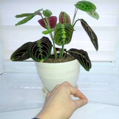 Пленка ПВХ для подоконника 120х40 см, Рисунок: без рисунка, Варианты: Пленка ПВХ 120х40 см, Цвет: прозрачный, изображение 4