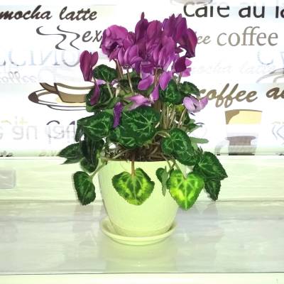 Пленка ПВХ для подоконника 120х40 см, Рисунок: без рисунка, Варианты: Пленка ПВХ 120х40 см, Цвет: прозрачный, изображение 5