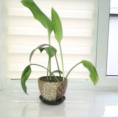 Пленка ПВХ для подоконника 120х40 см, Рисунок: без рисунка, Варианты: Пленка ПВХ 120х40 см, Цвет: прозрачный, изображение 6