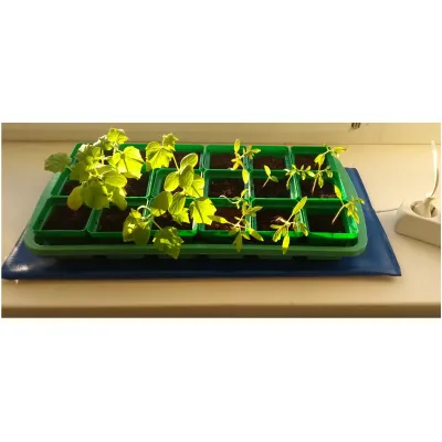 Электроподогреватель ТеплоМакс для проращивания семян рассады 75х50 см, Варианты: подогреватель 75х50 см, Цвет: синий, изображение 9