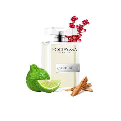 Парфюмерная вода Yodeyma "CARIBBEAN", 100 мл - аналог Dior "SAUVAGE", Объем: 100, изображение 3
