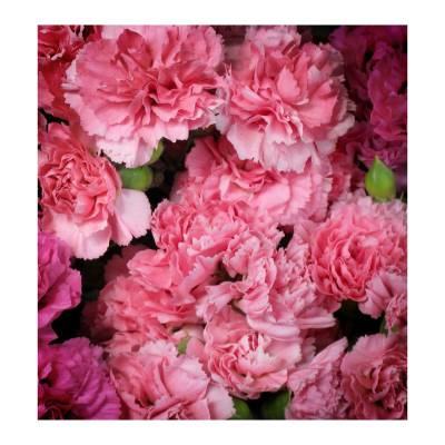 Парфюмерная вода Yodeyma "PROSA", 15 мл - аналог Calvin Klein "ETERNITY", Объем: 15, изображение 5