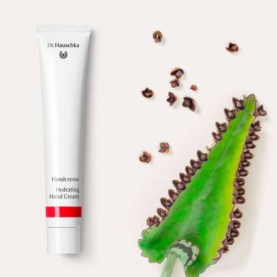 Крем для рук (Handcreme) Dr. Hauschka, 10 мл, Объем: 10, изображение 3