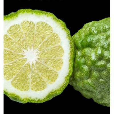 Парфюмерная вода Yodeyma "ACQUA PER UOMO", 15 мл - аналог Giorgio Armani "ACQUA DI GIO POUR HOMME", Объем: 15, изображение 4