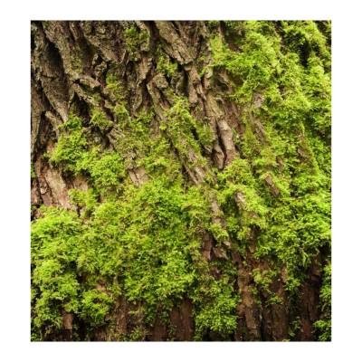 Парфюмерная вода Yodeyma "AGUA FRESCA", 50 мл - аналог Calvin Klein "CK ONE", Объем: 50, изображение 5