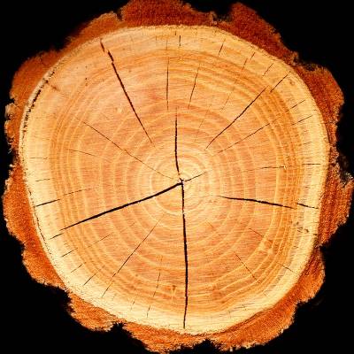 Парфюмерная вода Yodeyma "BOREAL", 100 мл - аналог Maison Francis Kurkdjian "BACCARAT ROUGE 540", Объем: 100, изображение 6