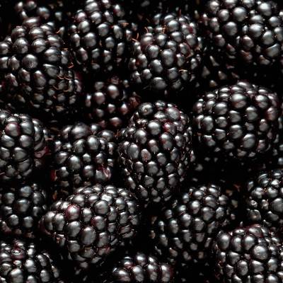 Парфюмерная вода Yodeyma "MIA", 15 мл - аналог Dior "DIOR ADDICT", Объем: 15, изображение 3