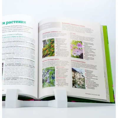 1001 совет Как создать сад мечты