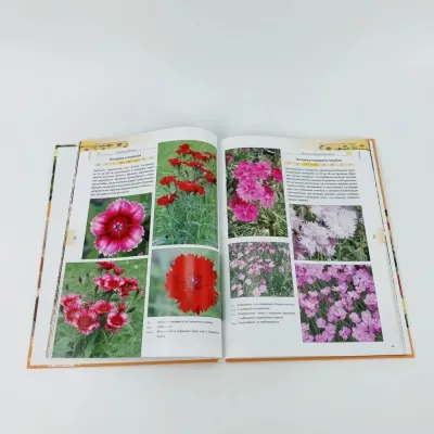 Большая книга садовых цветов и растений