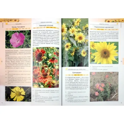 Большая книга садовых цветов и растений