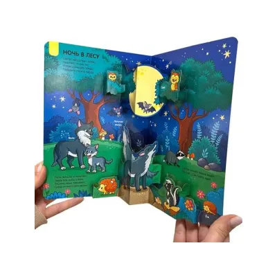 Играй и учись. В Лесу. 3 в 1. (malamalama)