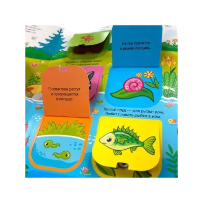 Играй и учись. В Лесу. 3 в 1. (malamalama)