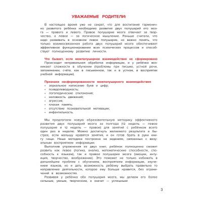 Развиваем правое полушарие мозга ребенка за 12 недель