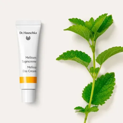 Крем для лица "Мелисса" (Melissen Tagescreme) для комбинированной и чувствительной кожи Dr. Hauschka, 5 мл, Варианты: Крем для лица Мелисса, Объем: 5, изображение 3