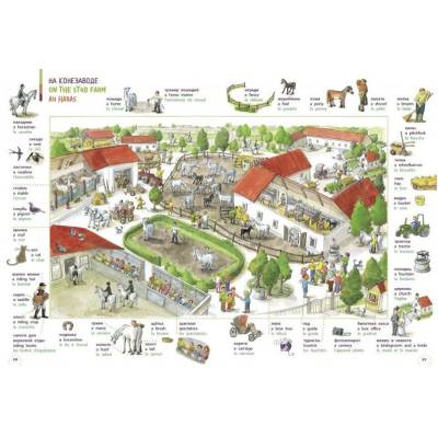 Словарь в картинках. Добро пожаловать в Кукуево! (рус., англ., франц.)