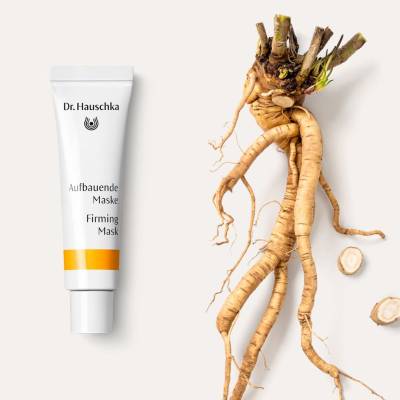 Укрепляющая маска для лица (Aufbauende Maske) для зрелой, обезвоженной и теряющей эластичность кожи Dr. Hauschka, 5 мл, Варианты: Укрепляющая маска для лица, Объем: 5, изображение 3