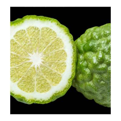 Парфюмерная вода Yodeyma "MORFEO", 15 мл - аналог Dolce & Gabbana "POUR HOMME", Объем: 15, изображение 3