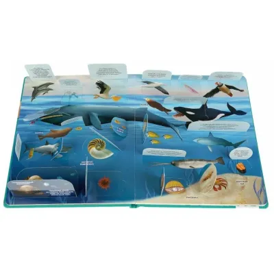 Умка. Книжка игрушка для малышей с окошками Тайны подводного мира