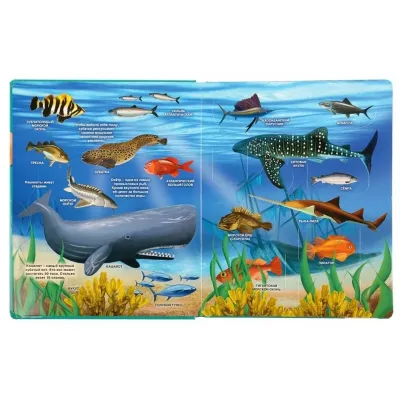 Умка. Книжка игрушка для малышей с окошками Тайны подводного мира, изображение 2
