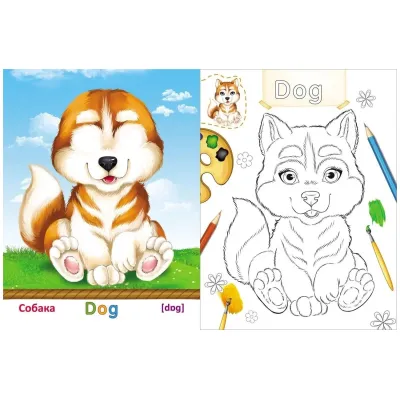 Английский в наклейках и раскрасках. Весёлые животные. (Учитель)