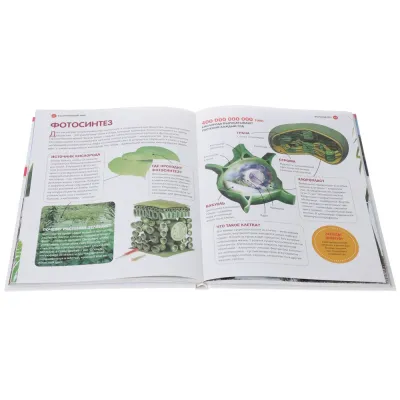 Большая детская энциклопедия Владис. Горы, леса и растительный мир.