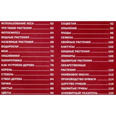 Большая детская энциклопедия Владис. Горы, леса и растительный мир.