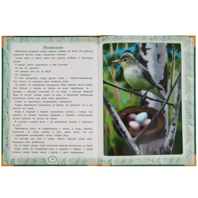 Большая книга сказок. Сказки леса. В.В.Бианки. (Умка)