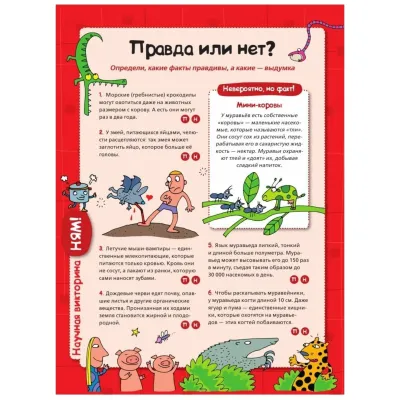 Большая книга-викторина. Вопросы и ответы обо всем на свете (АСТ)