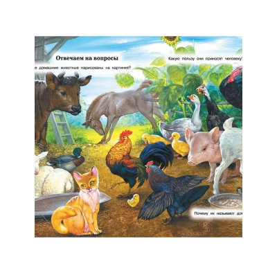 Большие буквы большие картинки. Первая книга после букваря