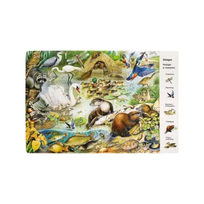 Виммельбух. Найди и покажи. Животные. Умка