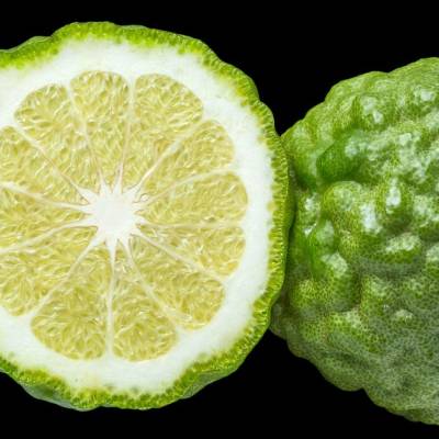 Парфюмерная вода Yodeyma "RAFAEL DAVINI", 15 мл - аналог Roberto Cavalli "ROBERTO CAVALLI", Объем: 15, изображение 3