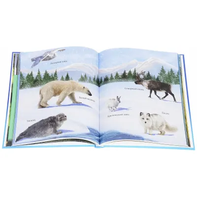 Животные России. Детская энциклопедия. Проф-Пресс