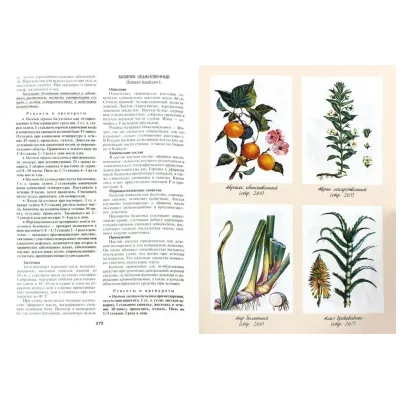 Золотая энциклопедия народной медицины