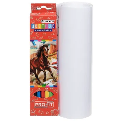 Карманная раскраска. Динозавры. ( 6 цветных карандашей внутри)